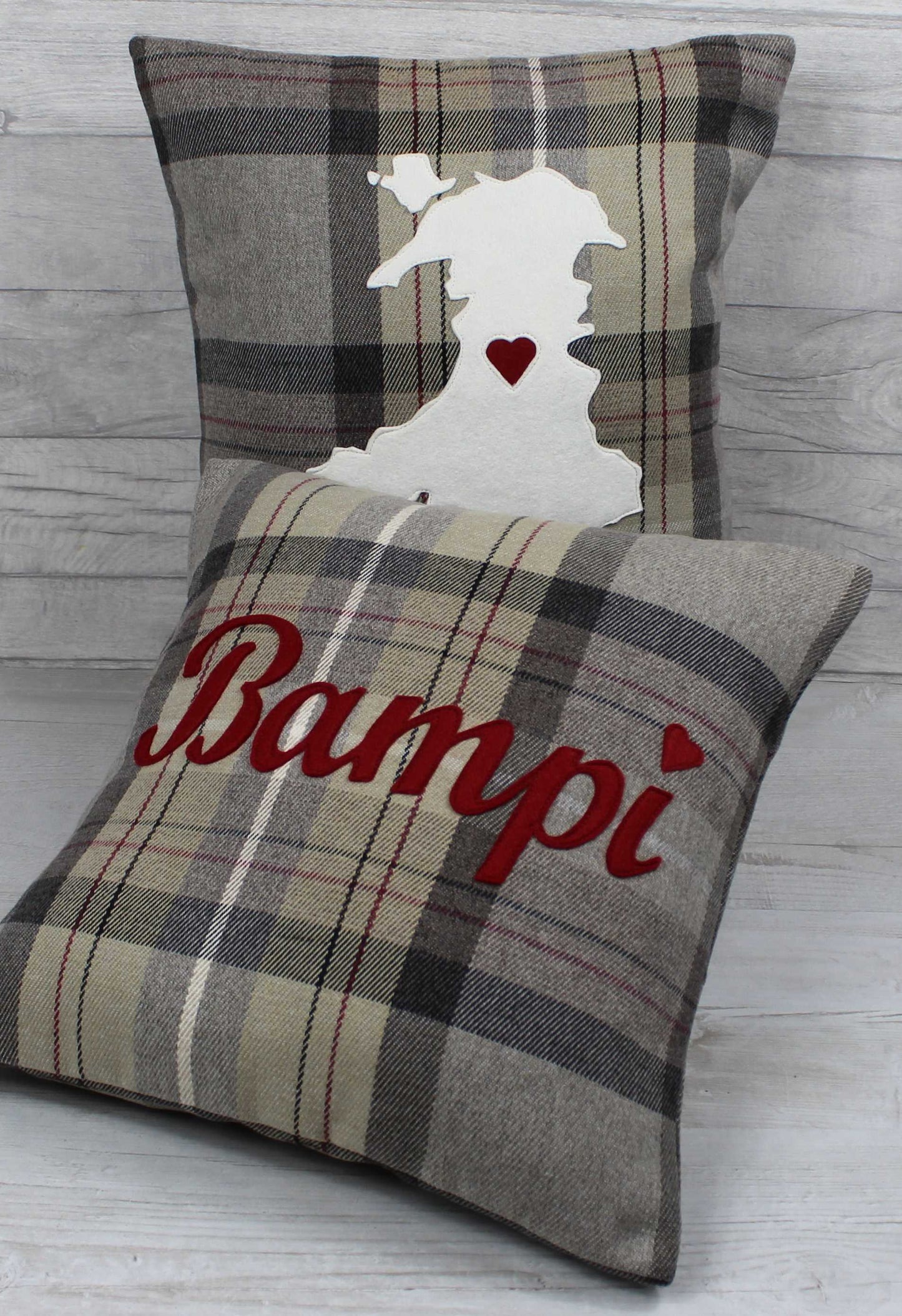 Tartan Map of Wales Cushion / Cymru Cushion