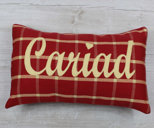 Tartan Cariad Cushion / Love Cushion