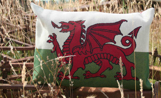 Red Dragon Cushion 