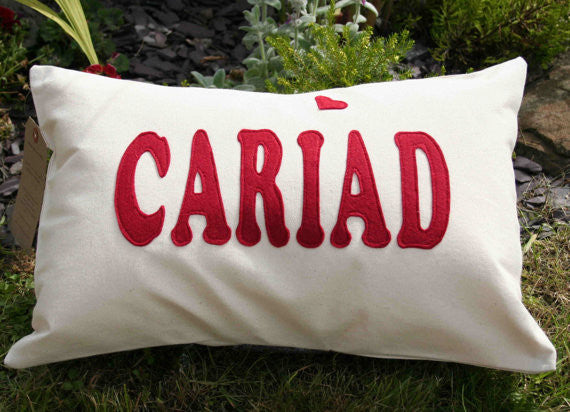 Cariad Cushion / Love Cushion