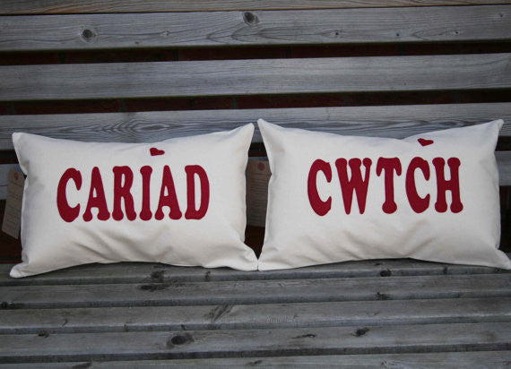 Cariad Cushion / Love Cushion